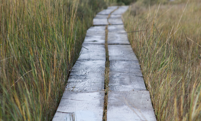 OutdoorRec