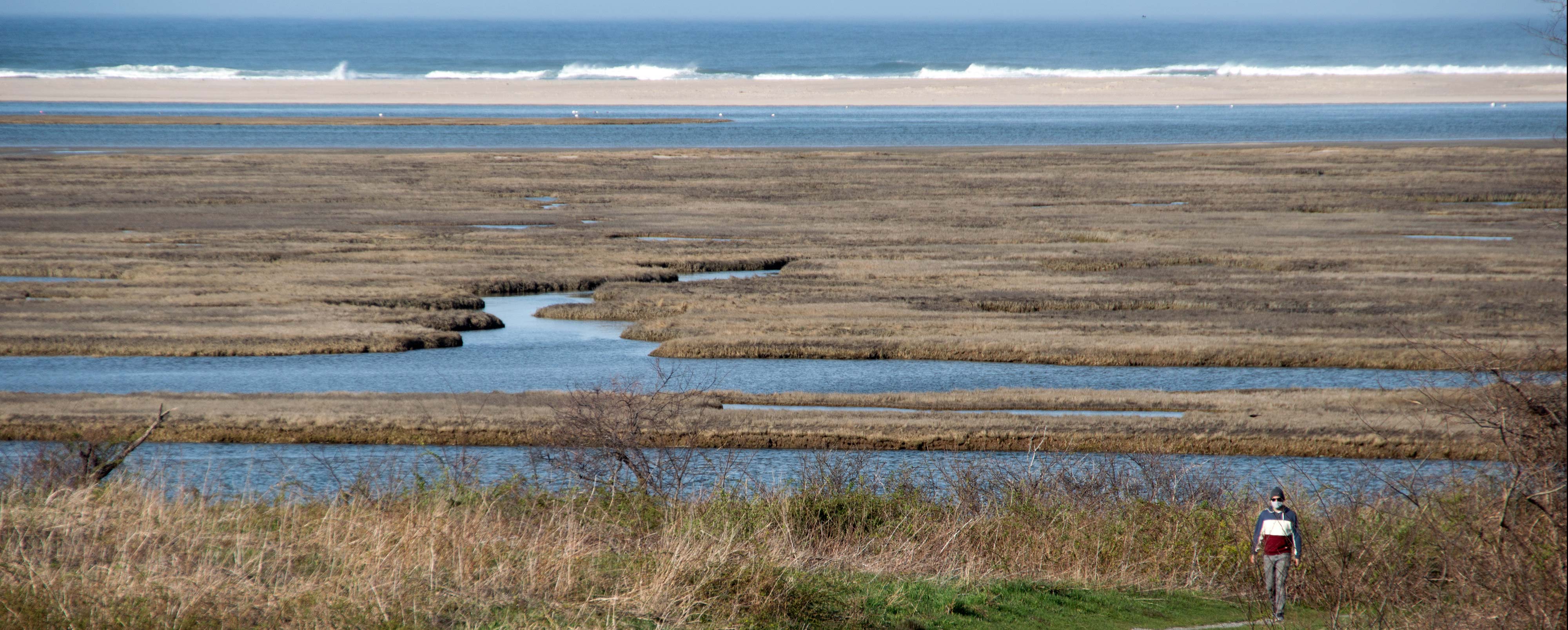 Eastham marshes from Fort Hill