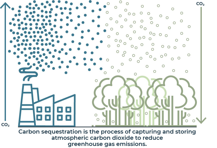 Regional Inventory Shows Patterns of Greenhouse Gas Emissions - CMAP