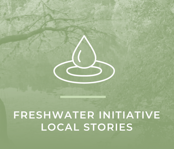 Freshwater, Initiatives