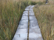 OutdoorRec
