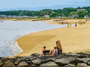 Cape Cod Residents Survey