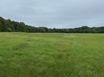 open space