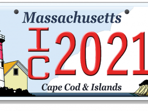 Cape Cod License Plate Grant Fund